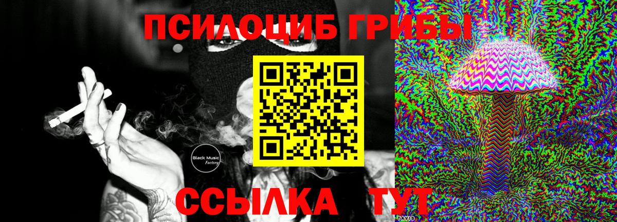 Псилоцибиновые грибы GOLDEN TEACHER  Галлюциногенные грибы Psilocybine cubensis  Коммунар  Вход с VPN 